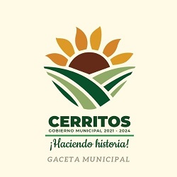GACETA MUNICIPAL